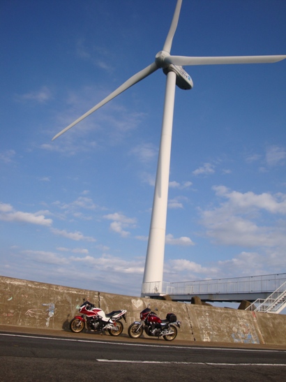 DSC02671-1.jpg