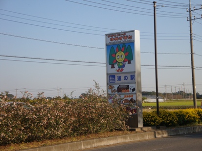 DSC02700.jpg