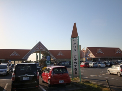 DSC02701.jpg