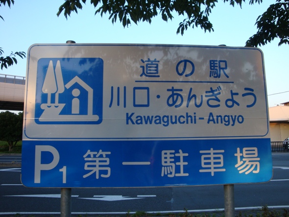 DSC02705.jpg