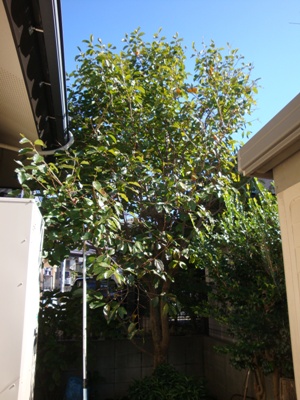 DSC02721.jpg