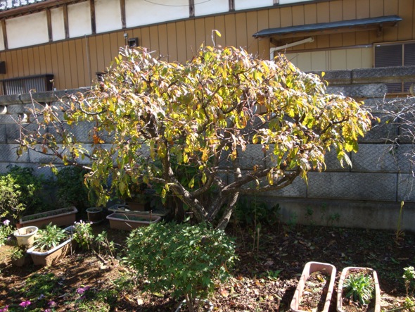 DSC02727.jpg