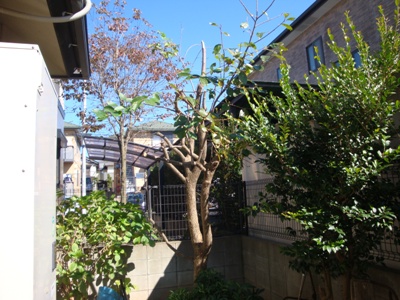 DSC02730.jpg