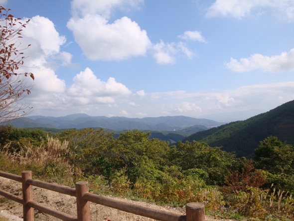 DSC02797.jpg