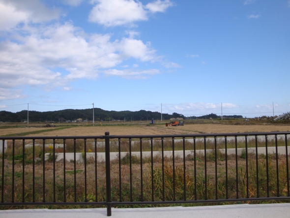DSC02804.jpg