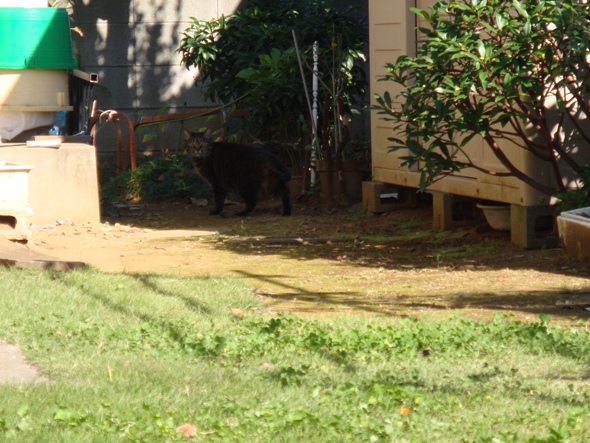 DSC02855.jpg