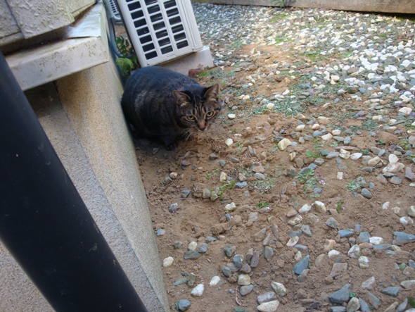 DSC02856.jpg