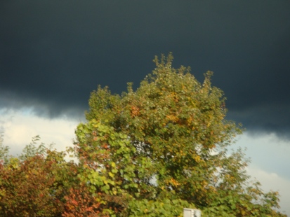 DSC02891.jpg