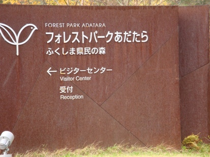 DSC02914.jpg