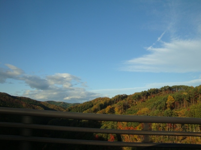 DSC02943.jpg