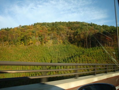 DSC02944.jpg