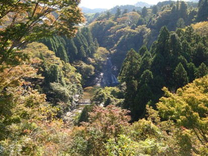 DSC02965.jpg