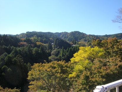 DSC02967.jpg