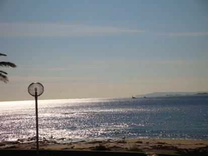 DSC02979.jpg