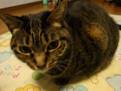 DSC03036.jpg