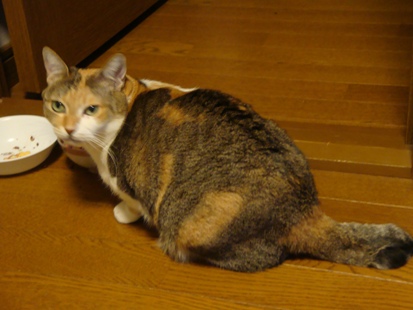 DSC03040.jpg