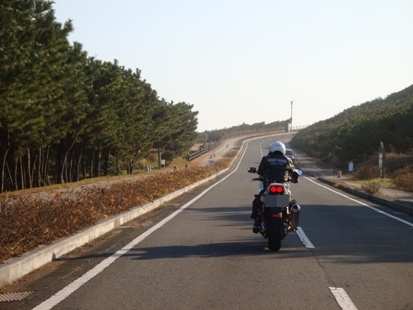 DSC03167-1.jpg