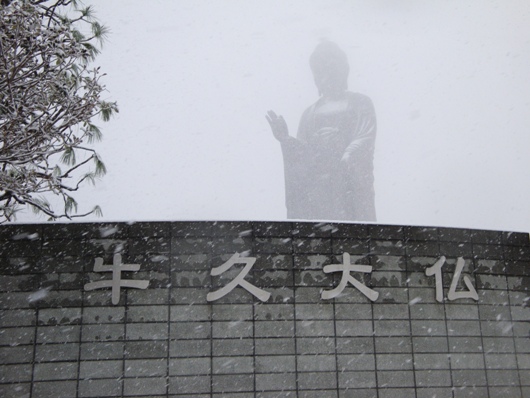 DSC03387.jpg
