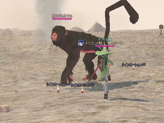 mabinogi_2012_06_21_011.jpg