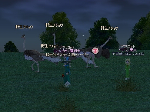 mabinogi_2013_01_02_001.jpg