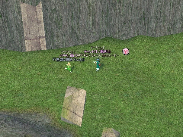 mabinogi_2013_01_02_014.jpg