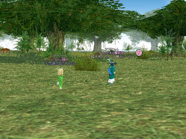 mabinogi_2013_01_02_018.jpg