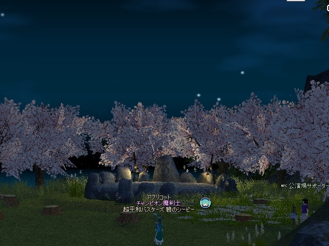 mabinogi_2013_02_13_004.jpg