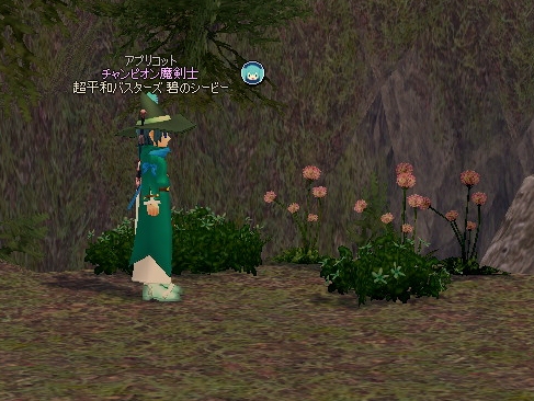 mabinogi_2013_02_13_006.jpg