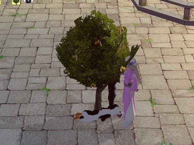 mabinogi_2013_03_01_031.jpg