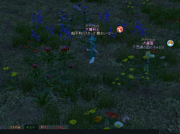 mabinogi_2013_04_23_054.jpg
