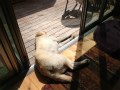 1304051__.jpg