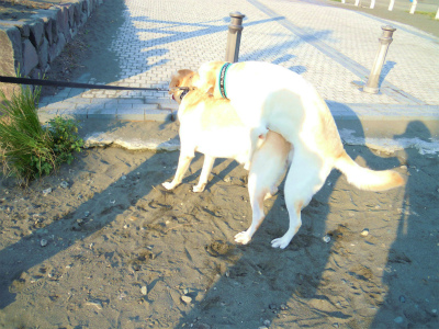 画像 1170