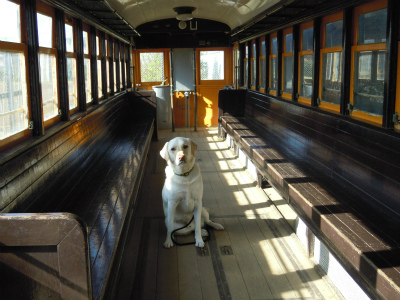 DSCN3178-2.jpg