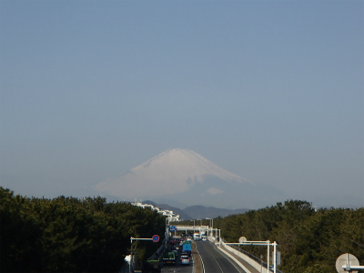 P2260659.jpg