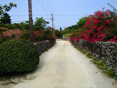 P3190130.jpg