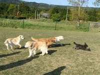 P5030394-2.jpg