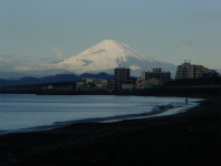 PC290547.jpg
