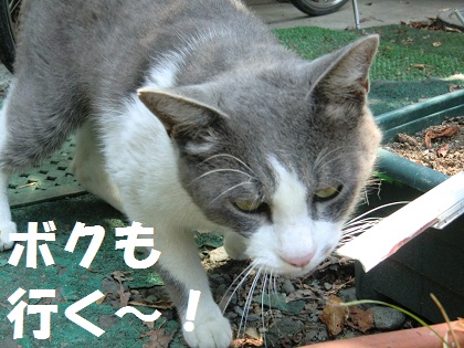 0008_20120806204545.jpg