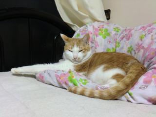 00_20120529224010.jpg