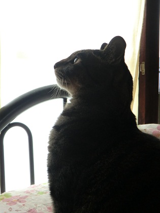 010_20120713230652.jpg
