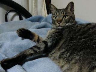 02_20120511163130.jpg