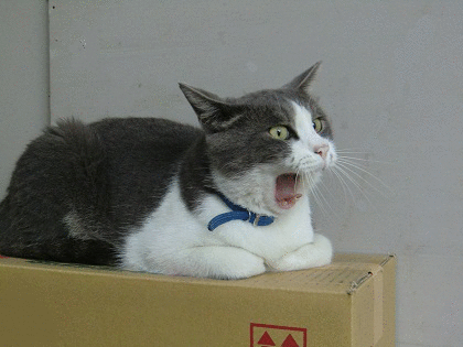 1348663575uHdpVXSGEV1Mck__1348663573.gif