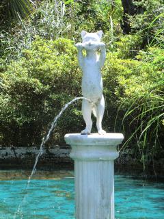 小便仔猫