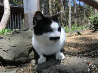 クロ