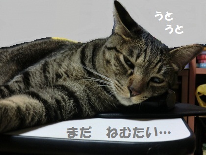 シマジそこは