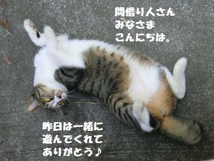 ころんがころん