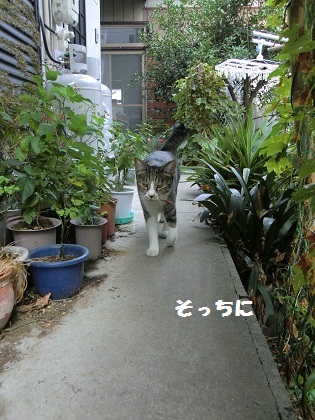 近づく4