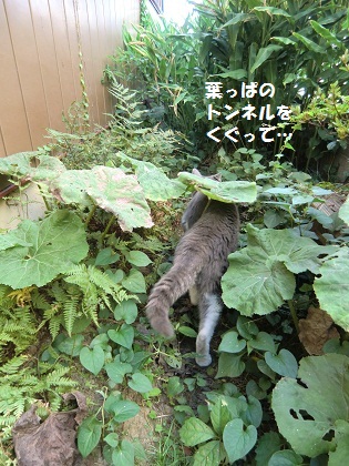 ぐっちゃん4
