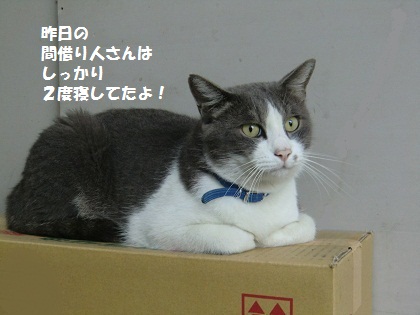 ぐう7