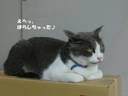 ぐう8